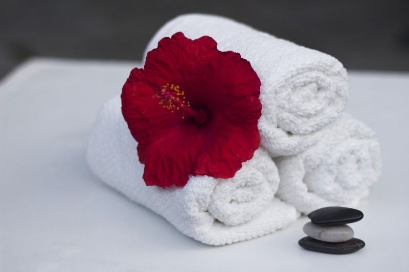 hotel-CONSEGUDES-min_towel_hibiscus_clean_care_salon_spa_white_bath-869834