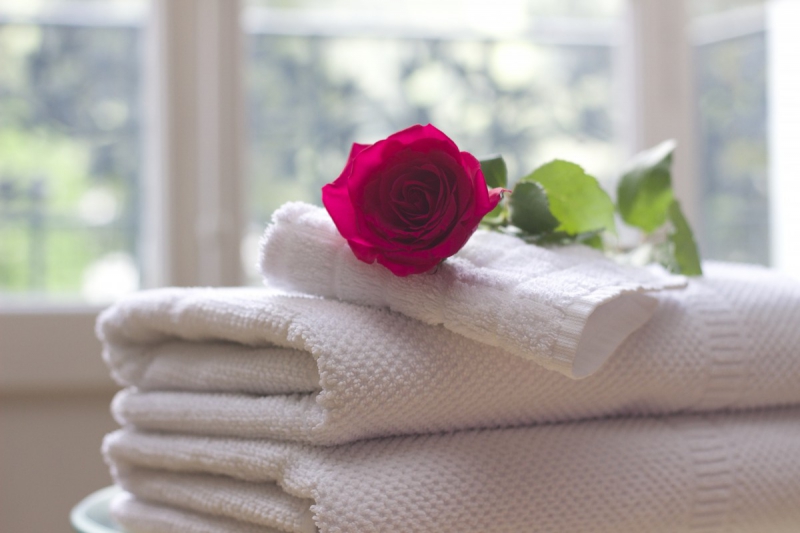 hotel-CONSEGUDES-min_towel_rose_clean_care_salon_spa_white_bath-731641